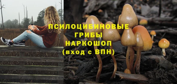трава Наволоки