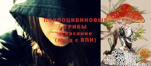 гашик Надым
