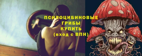 трава Наволоки