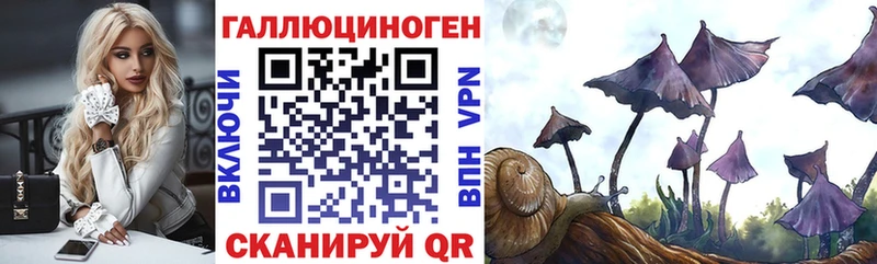 Галлюциногенные грибы Magic Shrooms  ОМГ ОМГ ССЫЛКА  Новосиль 